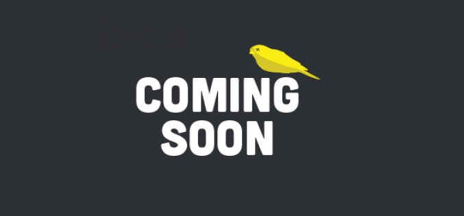 The Canary Left Website Coming Soon!