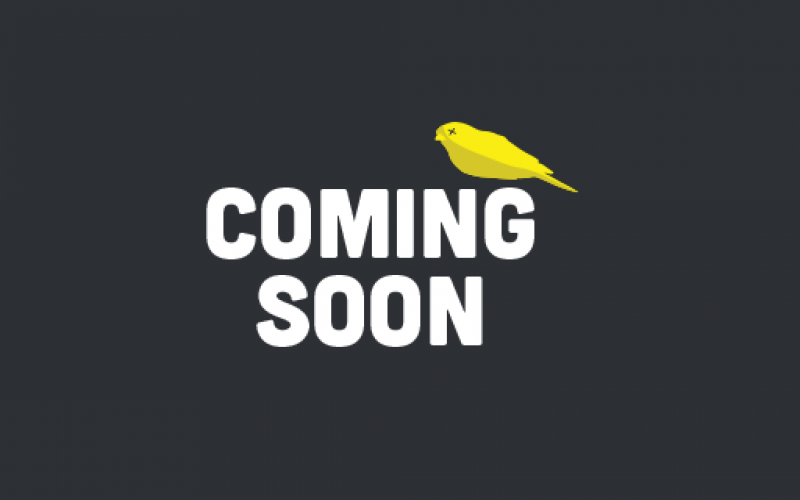 The Canary Left Website Coming Soon!